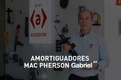 AMORTIGUADORES MAC PHERSON GABRIEL